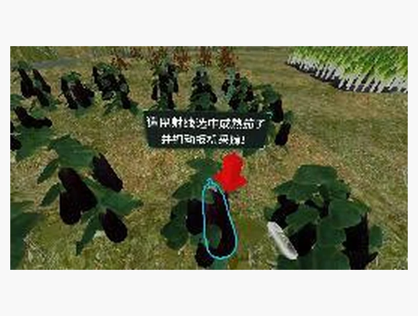 采摘蔬果｜产品参考图