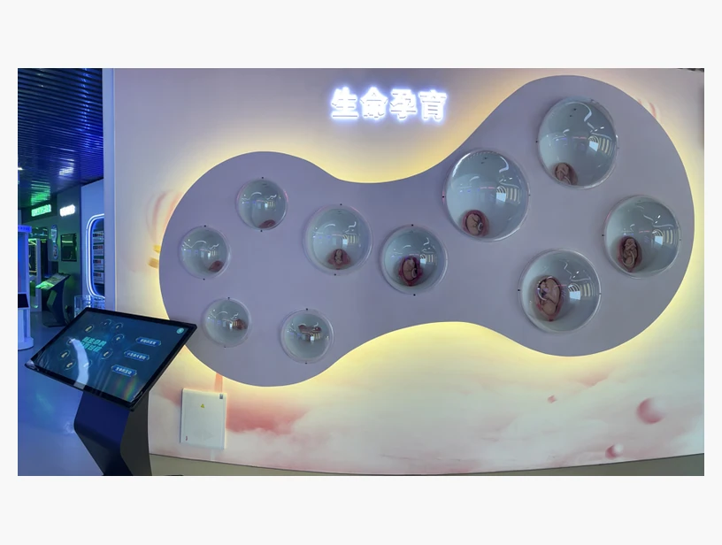 生命的孕育互动系统｜产品参考图