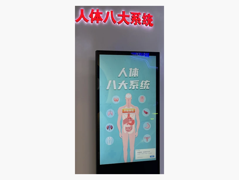 人体八大系统｜产品参考图