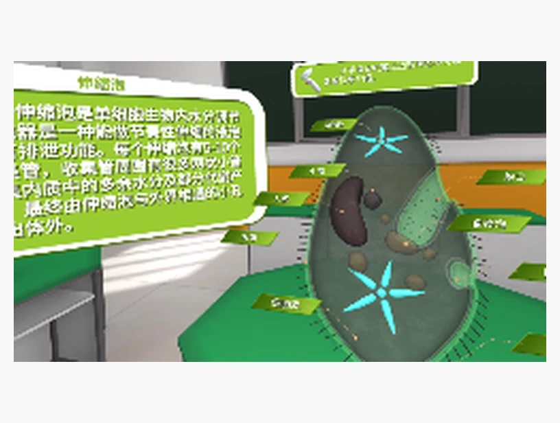 认识草履虫｜产品参考图
