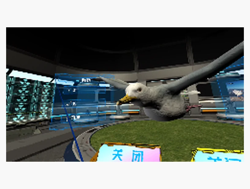 海鸥知识与形态观察VR课程｜产品参考图