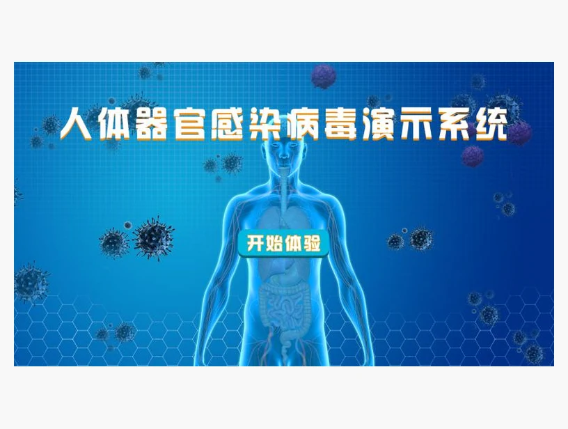 人体器官感染新型冠状病毒演示系统｜产品参考图