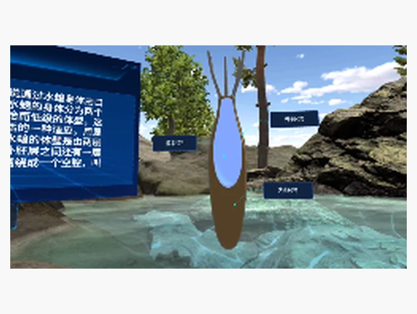 腔肠动物｜产品参考图