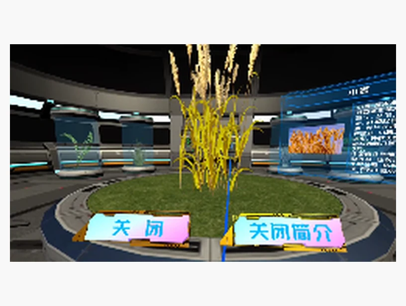 小麦知识与形态观察VR课程｜产品参考图