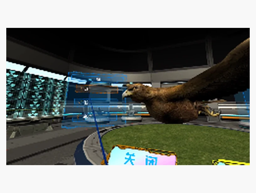 鹰知识与形态观察VR课程｜产品参考图