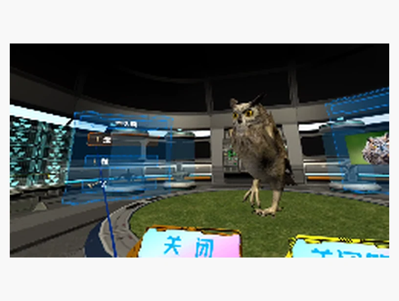 猫头鹰知识与形态观察VR课程｜产品参考图