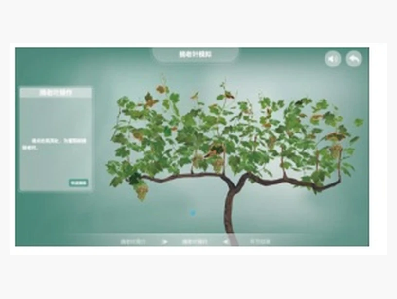 葡萄树剪枝管理软件界面